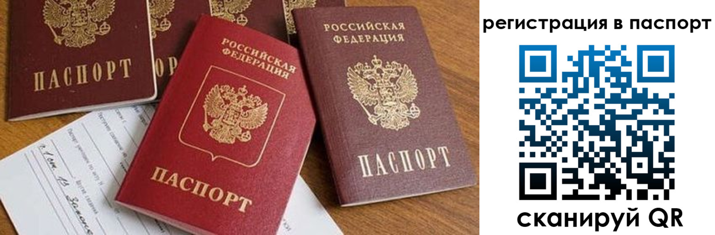прописка в Красном Сулине